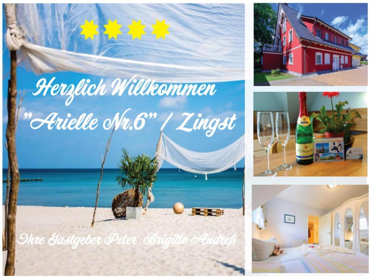 Arielle Nr 6 - Fuer Die Schoenste Zeit Des Jahres - Zingst Exteriör bild