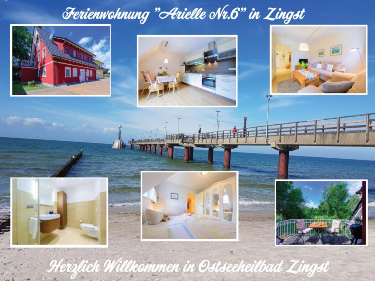 Arielle Nr 6 - Fuer Die Schoenste Zeit Des Jahres - Lägenhet Zingst Exteriör bild